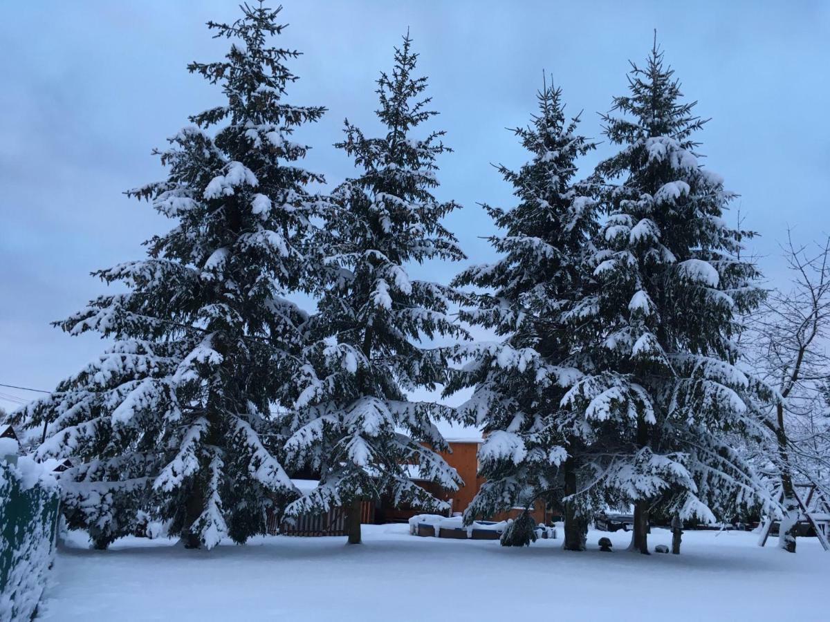 Ubytování U Rybníčka Arnoltice u Decina Exterior foto